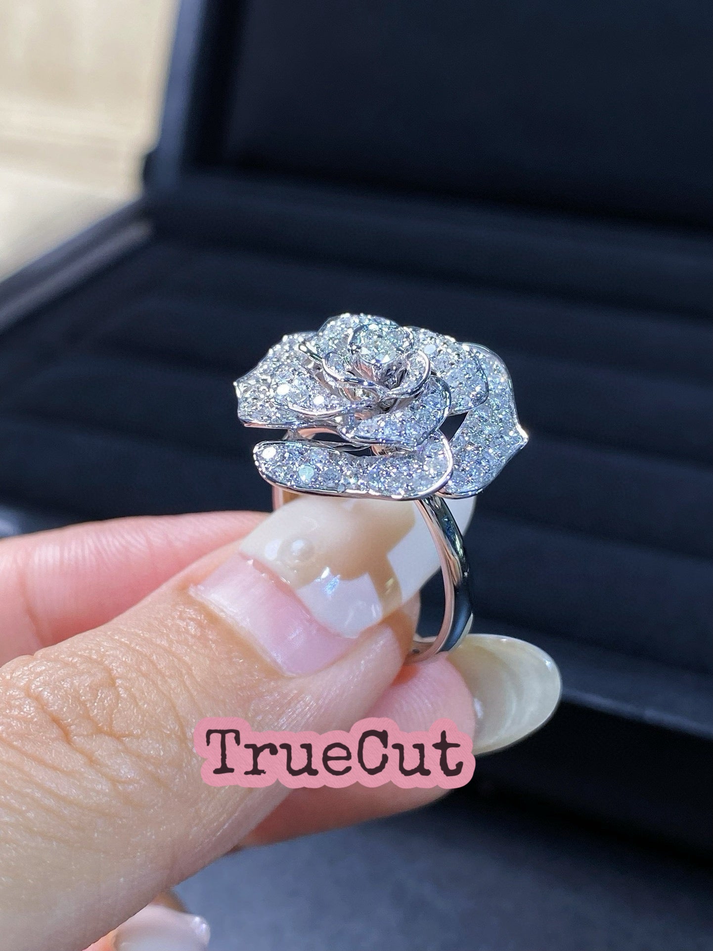 TrueCut Eternal Rose